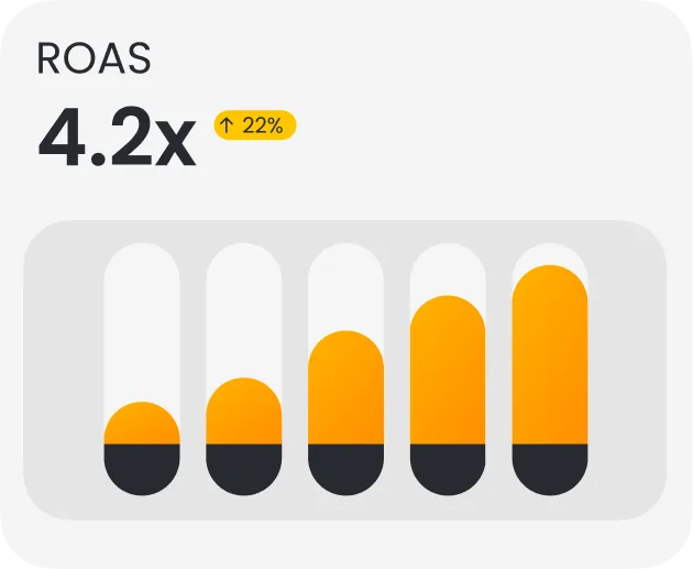 ROAS performance metric