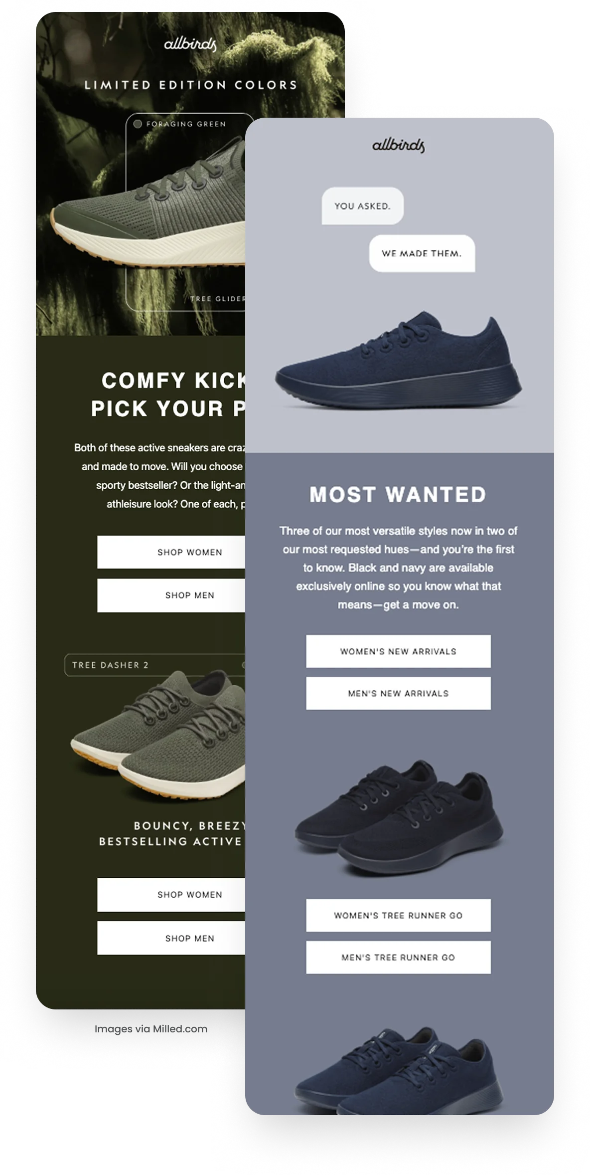 Allbirds behavioural trigger emails
